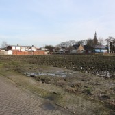 IMG_0486