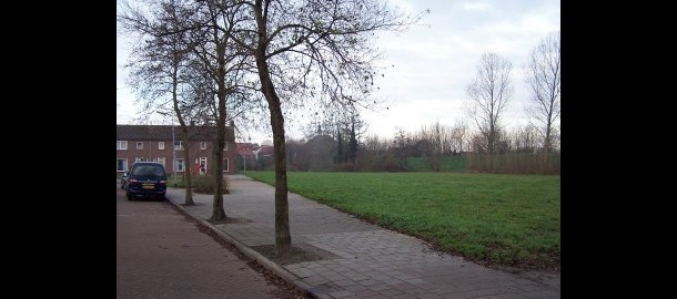 wozoco scherpenisse